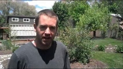 Sprinkler Repair - Customer Review - Roy, UT (801) 784-0587