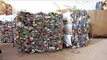 Waste pickers clean up World Cup stadiums