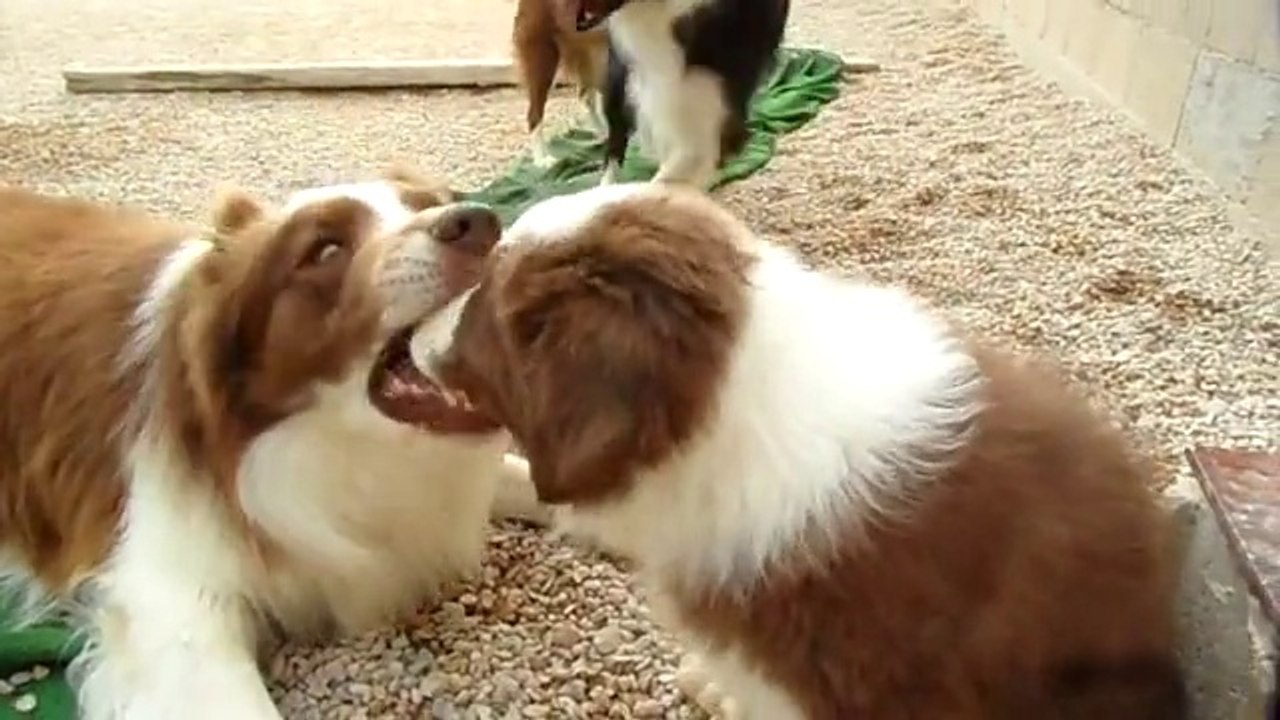 La ternura de Kun con Gabi