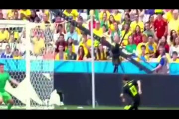 Avustralya 0-3 İspanya Maçı Golleri \ 2014