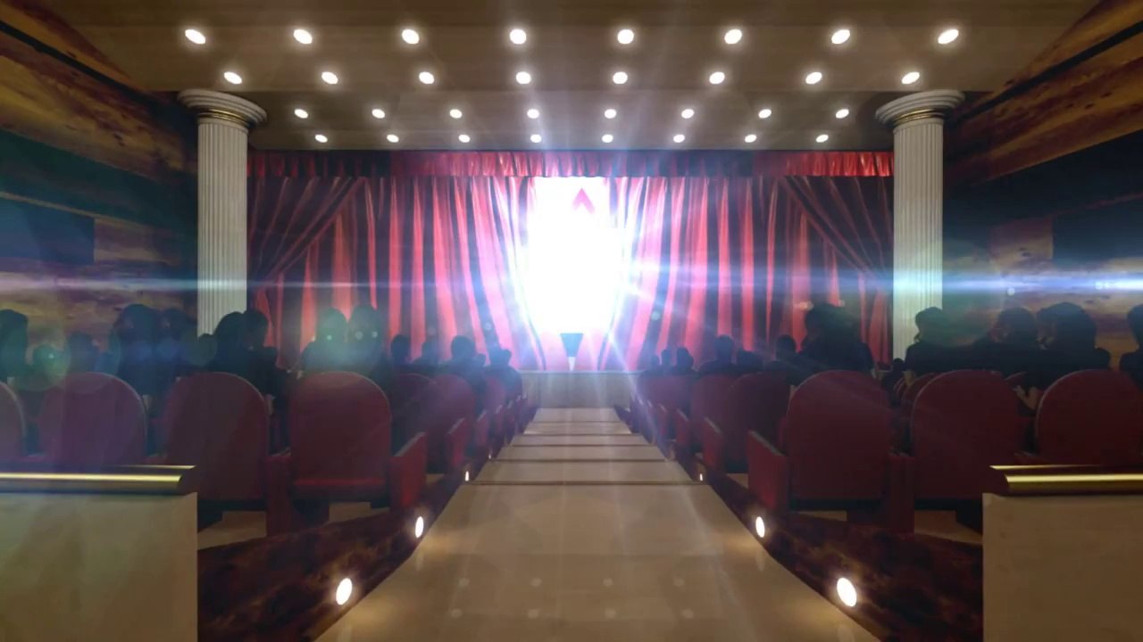 Lights Camera Action