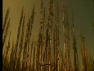 Dj Quicksilver - Power of