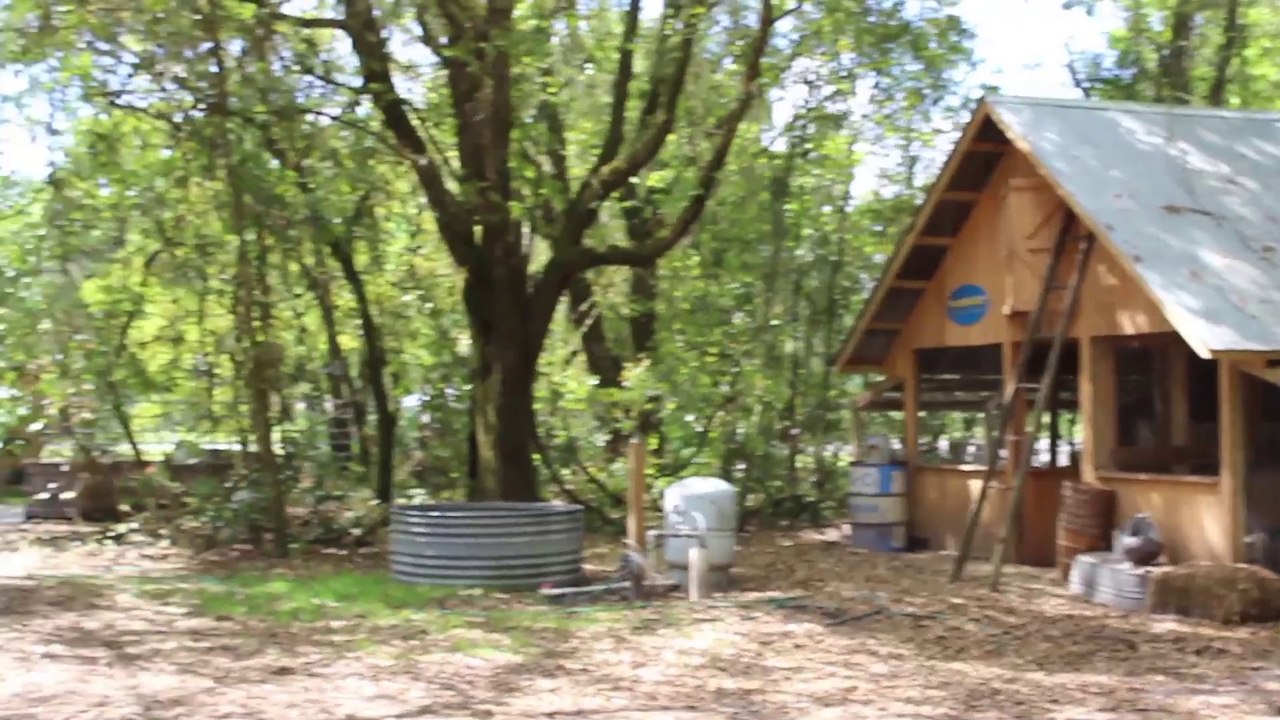 Local Honey - Herrmann's Barn