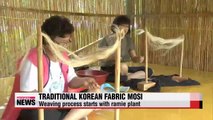 Traditional Korean fabric Mosi or fine-ramie fabric weaving skills in spotlight