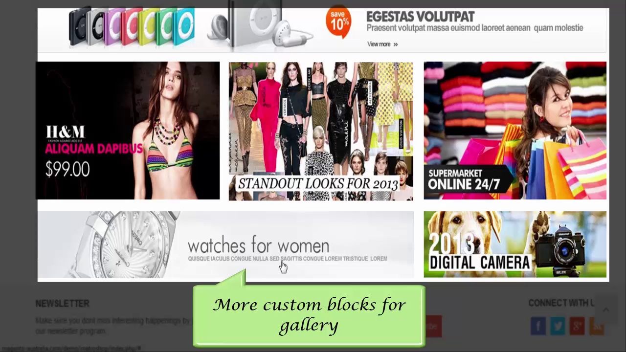 Professional Magento Theme