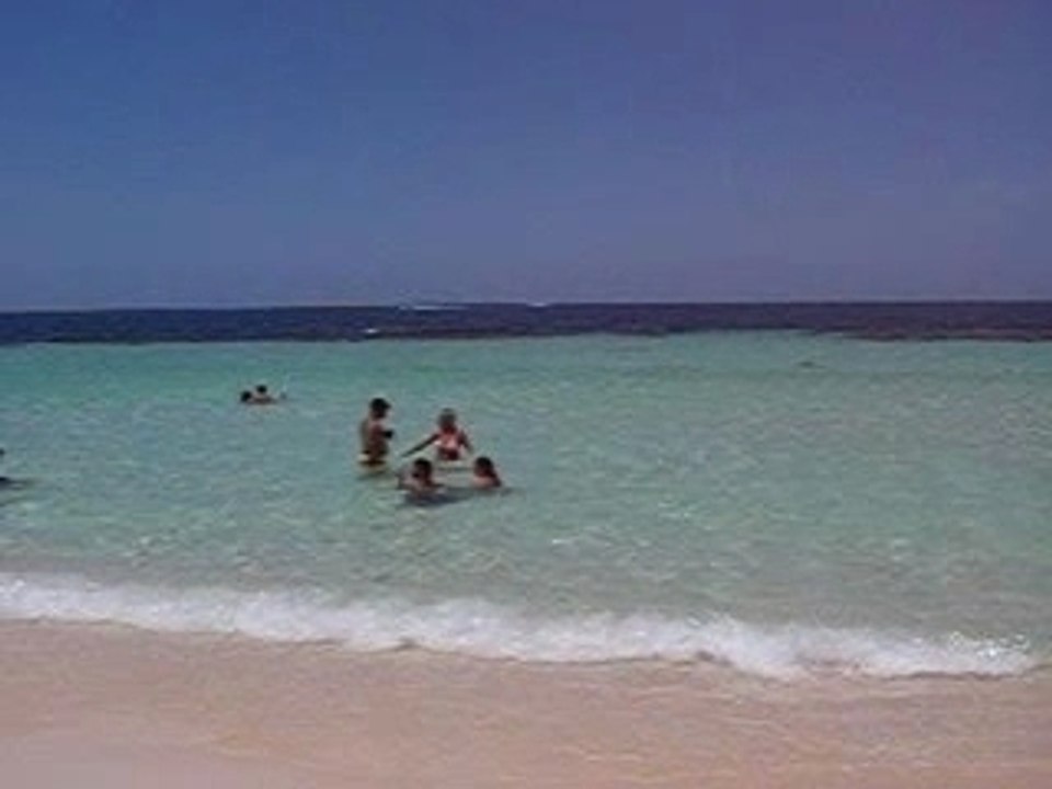 Paradise island