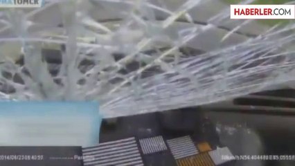 Arabanın Camına Geyik Çarptı