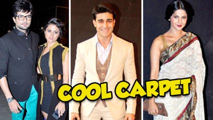 Telly Stars At Star Parivaar Awards 2014