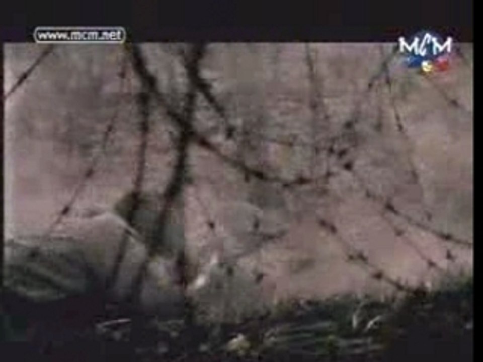 Manau - L'avenir est un long passé