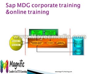 SAP MDG corporate training and online training