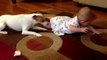 Dog teaches baby how to crawl