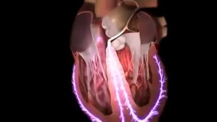 3D view of How Heart Works