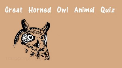Test Your Knowledge: Great Horned Owl Animal Quiz 🦉