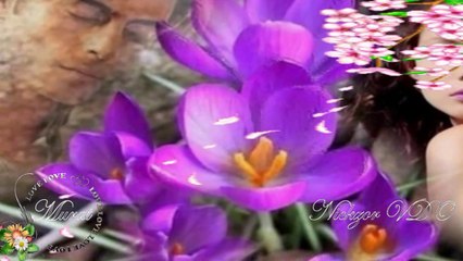 Barlas - Ben Vazgeçtim