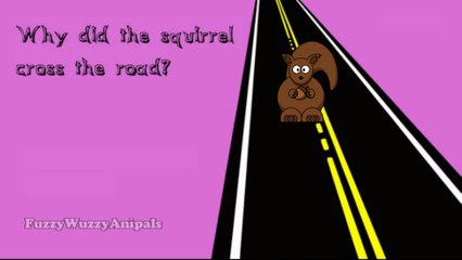 Kids Jokes 24 Squirrel