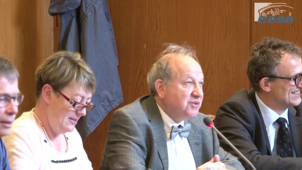 Table ronde du 28 mai 2014 avec : Gilbert CETTE,Henri STERDYNIAK, et Marc LEROY - cese