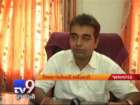 Eyes skyward for farmers waiting on rain, Jamnagar - Tv9 Gujarati