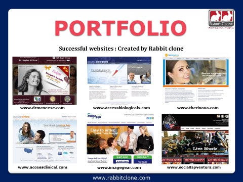 Website Replication and Duplication Leader: Rabbit Clone