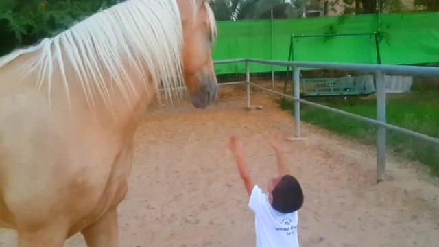 Un enfant spécial rencontre un cheval
