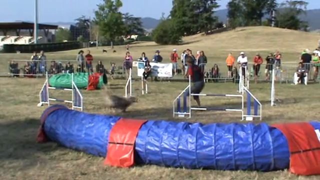 Chanel ANNONAY CDF 2014 Manche