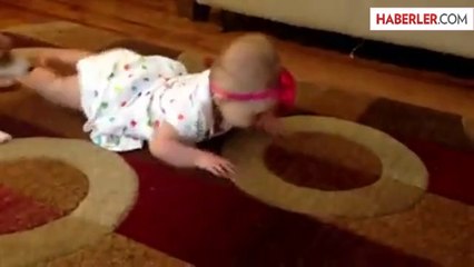 Köpek Yedi Aylık Bebeğe Emeklemeyi Öğretti