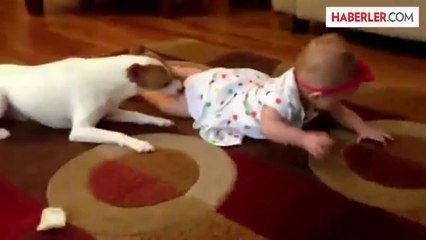 Sevimli Köpekten Bebeğe Emekleme Eğitimi