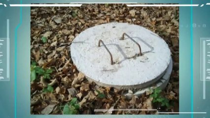 Bob Humbert and Son Bob Humbert and Son