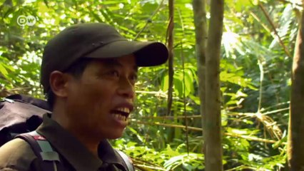 Vietnam: lucha por los osos | Global 3000