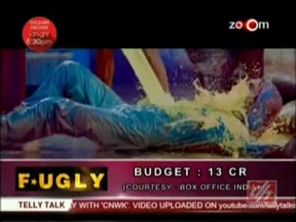 Fugly fails to recover its budget 24th june 2014
