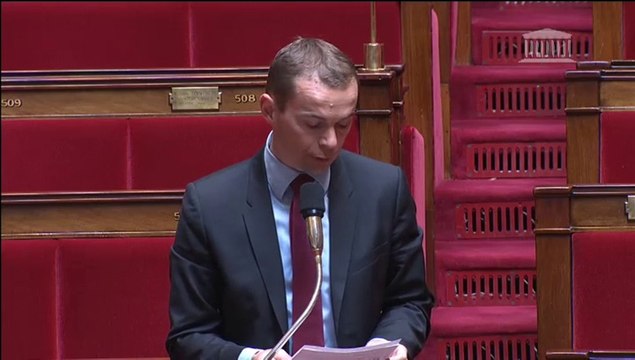 Question au Ministre de l'Education sur le plan de titularisation des auxiliaires de vie scolaire le 24 juin 2014