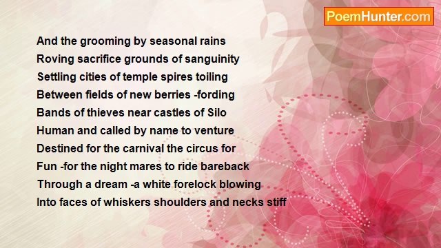 Lee B. Mack - Sunlight Still Life Improvisation 10 27 2009