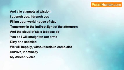 Vincent Cibelli - My African Violet