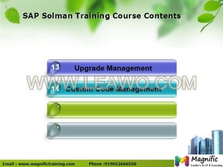 Solution Manager - Certification  Overview  Tutorial online training in mumbai and pune