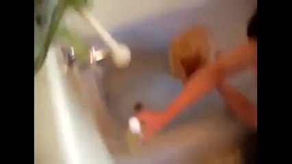 Cat screaming NO to bath!