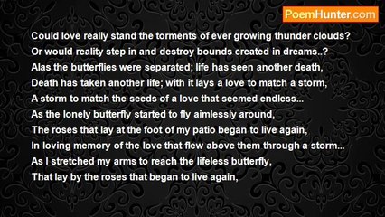 Farhan Jackson - Wishes on Butterfly Wings