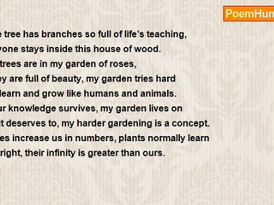 Naveed Akram - My Trees