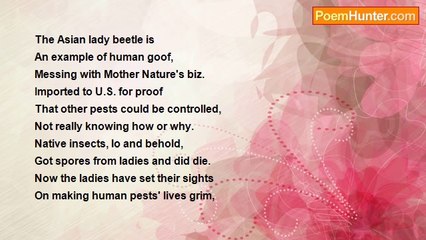 Ima Ryma - Asian Lady Beetle