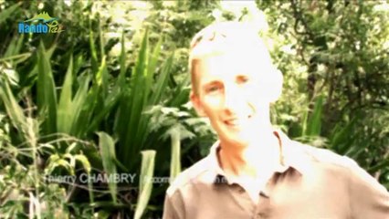 Rando Péï : Sentier de la Providence au Brûlé (Saint-Denis)