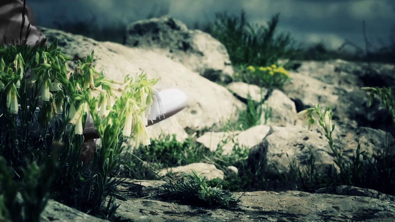 Kadına Şiddet - Jandarma Genel Komutanlığı Kamu Spotu