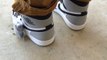 Jordan Shoes Free Shipping,Cheap Air Jordan 1 retro high og baron wolf grey on feet