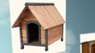 Eco-Friendly Dog Houses