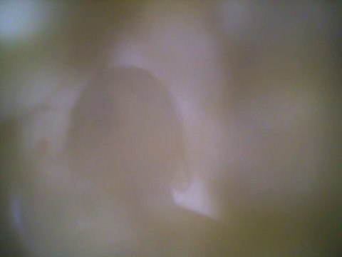 Cover Talk to me - Yodelice