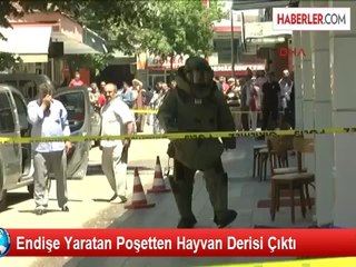 Endişe Yaratan Poşetten Hayvan Derisi Çıktı