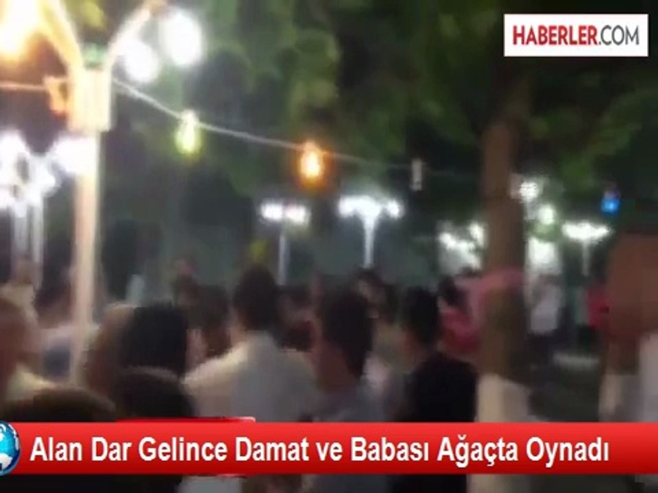 Bartın'da Alan Dar Gelince Damat ve Babası Ağaçta Oynadı