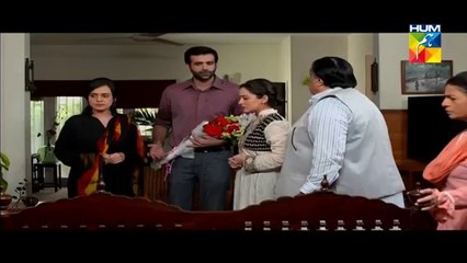 Shabe Zindagi Episode 17 HUM TV Drama