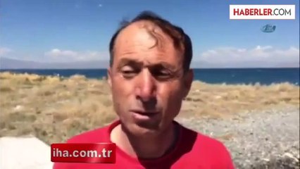 Van Gölü'nde Martı Ölümleri