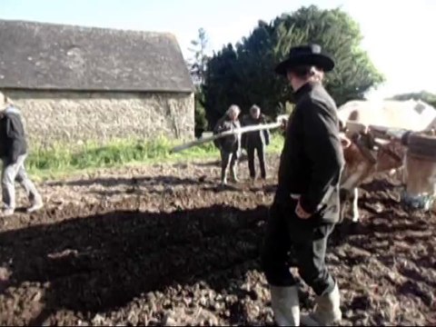 Voyage découverte 2014 des exploitations en traction bovine de l'Ouest de la France par les stagiaires du CS utilisateurs de chevaux attelés de Montmorillon (86)