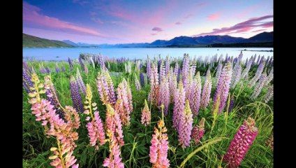 Doğanay & kafama sıkar giderim