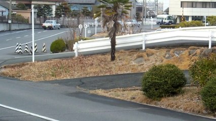 Japanese Driving School