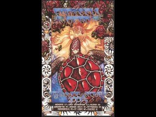 Grateful Dead - Soldier Field, Chicago, IL (June 8, 1995)